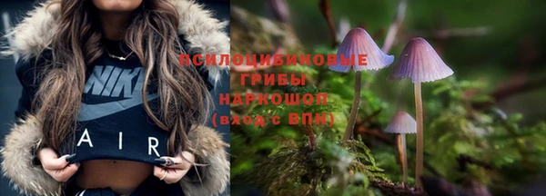 2c-b Беломорск