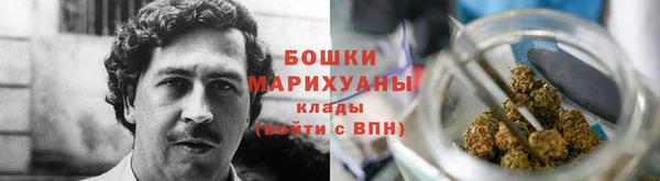 сатива Тавда