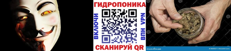 Бошки марихуана сатива цены наркотик Волжск